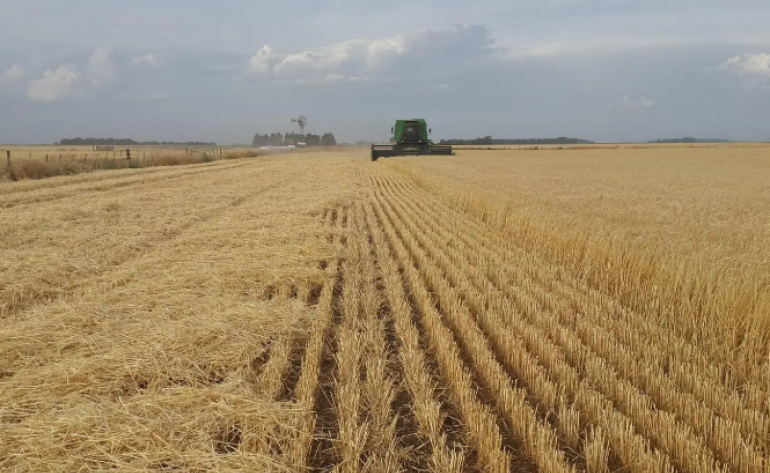 CMN autoriza prorrogação de dívidas de custeio de produtores rurais