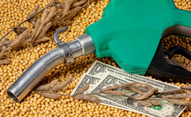 Soja e do biodiesel devem representar 6,4% do PIB do Brasil em 2025, aponta Cepea e Abiove