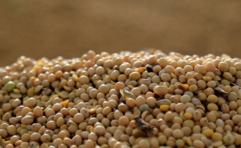 Mudança em impostos na Argentina pode beneficiar farelo e óleo de soja do Brasil