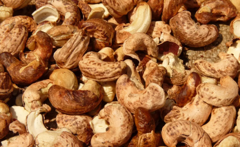 Governo simplifica compra pública de pescados, castanhas, mel e outros após tarifaço