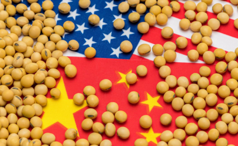 China aumenta compras de soja da Argentina e do Uruguai e frustra pressão de Trump