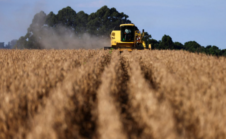 China adia compras de soja devido a altos prêmios do Brasil, dizem traders