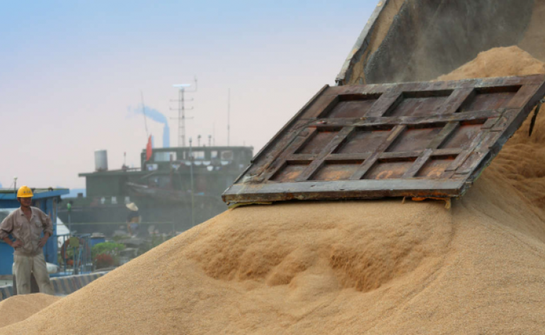 China deve importar recorde de soja em 2025 com compras do Brasil e trégua comercial dos E