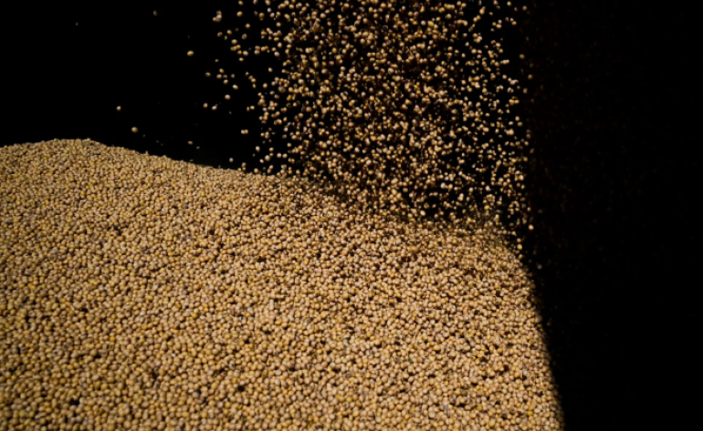 Importações chinesas de soja dos EUA despencam; desembarques brasileiros saltam