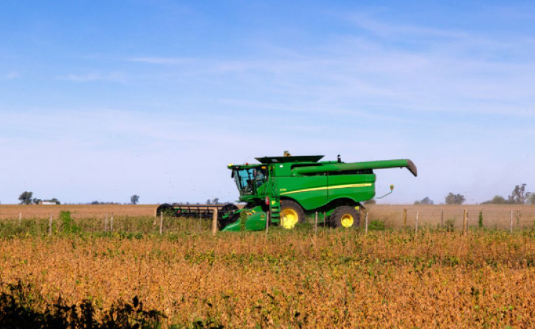 Agro é o setor com mais empresas sob recuperação judicial, diz Serasa Experian