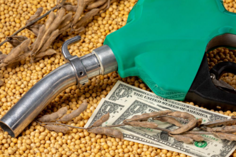 Soja e do biodiesel devem representar 6,4% do PIB do Brasil em 2025, aponta Cepea e Abiove