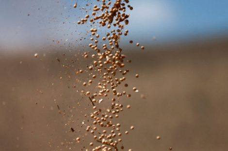 Chinesa Cofco fecha compras bilionárias de soja do Brasil e óleo de palma