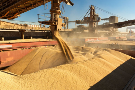 China pode acabar com esperanças de exportações dos EUA por excesso de soja