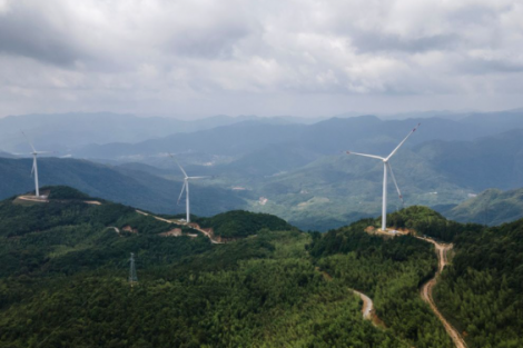 Transição para economia de baixo carbono pode adicionar até 465 bilhões ao PIB do Brasil