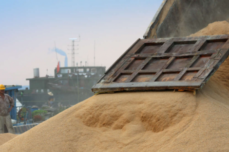 China deve importar recorde de soja em 2025 com compras do Brasil e trégua comercial dos E