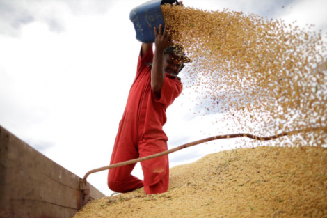 Exportação do agronegócio do Brasil avança 3% em 2025 e tem recorde, diz ministério