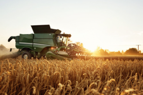 Coamo vê vendas de soja mais lentas e preocupação logística com grande safra