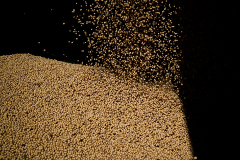 Importações chinesas de soja dos EUA despencam; desembarques brasileiros saltam