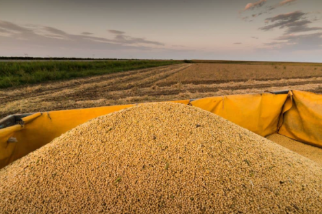 Índia deve importar volume recorde de óleo de soja em agosto; Brasil amplia embarques