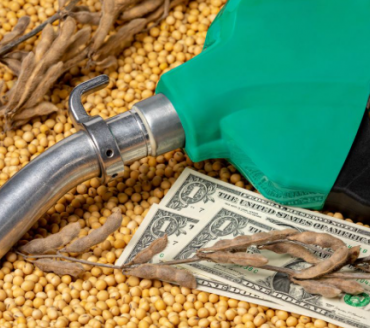 Brasil iniciará testes com mistura de 20% de biodiesel no diesel em maio